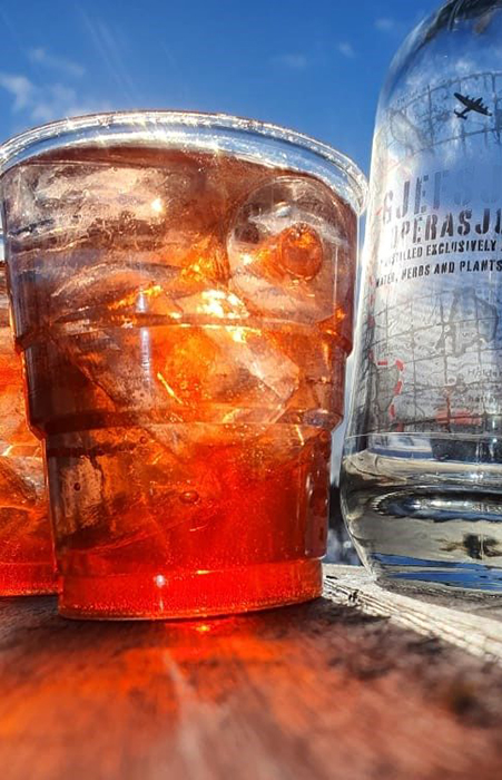 Vårløsning-Gjefsjø_barskolen-gunnar-hugas