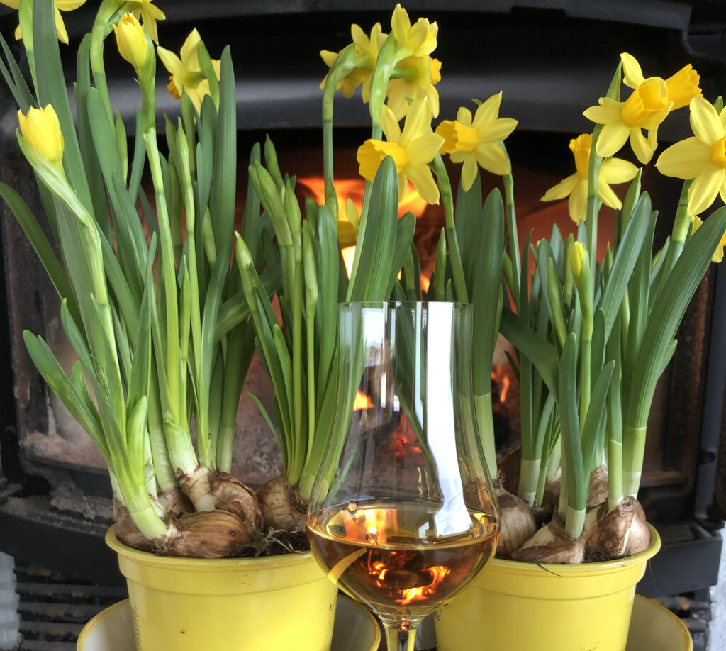 Påskebilde_nett_230407