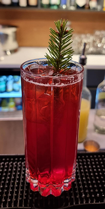VM-cocktail_2025_700H